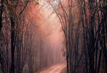 拒絕馬賽高層職務！帕耶特含淚告別馬賽！.