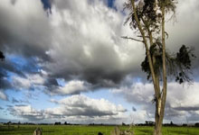 中东部降雨范围广泛 江南华南多地暖热同期少见.