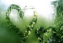 竞技宝：英國媒體：拜仁可能解雇圖赫爾，他或將再次回到英超執教西漢姆聯！.