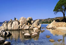 依木兰相关消息可以贴在这里，雄鹰一样的球场上踢呐旁友4亮18回复.